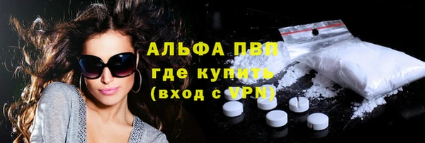 стафф Арсеньев
