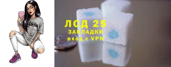 стафф Арсеньев