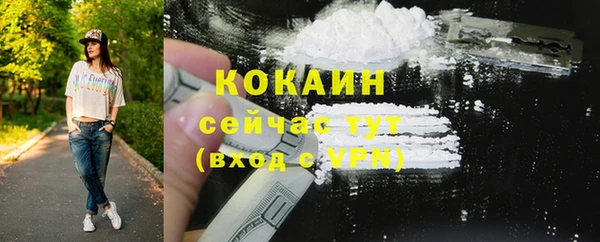 стафф Арсеньев