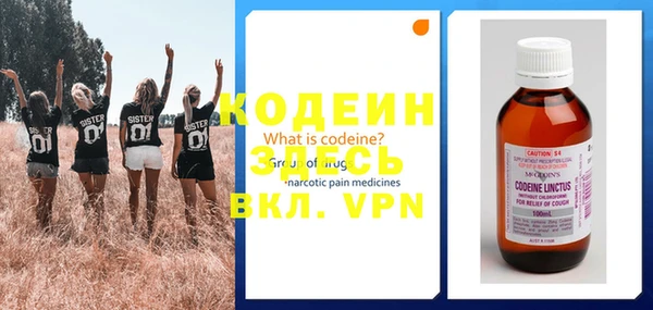 хмурый Новозыбков